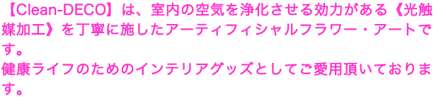 yClean-DECOźA̋C򉻂͂sG}Ht𒚔JɎ{A[eBtBVt[EA[głBNCt̂߂̃CeAObYƂĂpĂ܂B